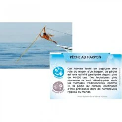 Bioviva Planète - Mers Et Océans -Jeujouethique Boutique bioviva planete mers et oceans 3