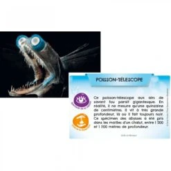 Bioviva Planète - Mers Et Océans -Jeujouethique Boutique bioviva planete mers et oceans 4