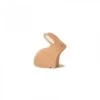 Lapin Nature Assis En Bois Brin D'Ours